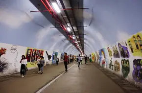 Hibiscus Tunnel