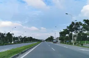 Fengshun Orchard