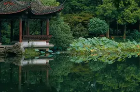Quyuan Fenghe