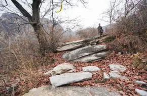 Coffin Mountain