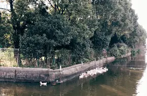 Liutua Waterscape Park