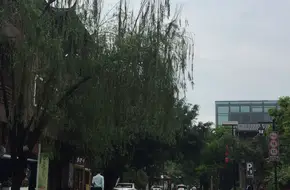 V Valley Land