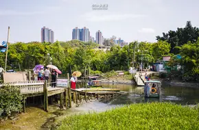 Nam Sang Wai