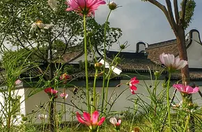 Guangpu Forest Countryside Park