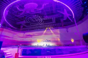 Dolphin Theater