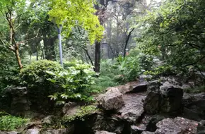 Xishan Waterfall Stream