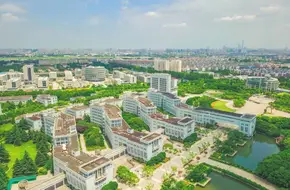 Shanghai University