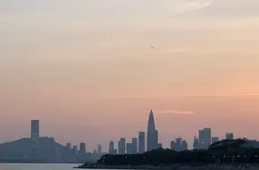 Shenzhen Bay