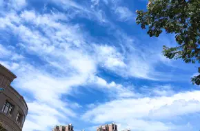 Miaoxiang Park