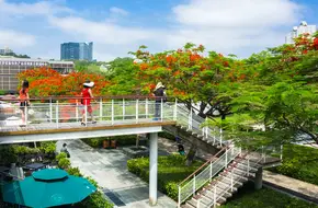 OCT Ecological Square