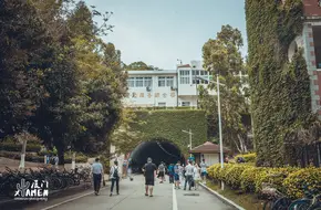 Hibiscus Tunnel
