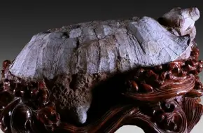 Eastern Geological Museum