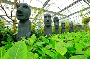 World Botanical Amusement Park