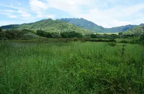 Baguangpu Village