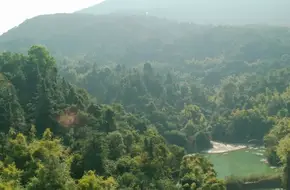 Sanzhou Tea Garden