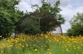 Expo Houtan Wetland Park