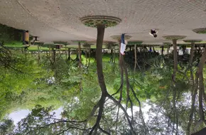 Qichang Park