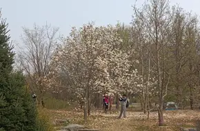 Longjiao Temple