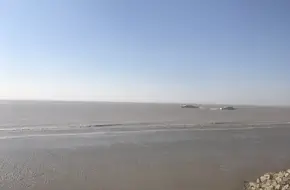 Chongming Dongtan National Nature Reserve
