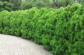 Tuen Mun Park