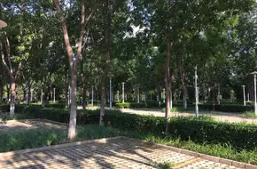 Nangong Camping Sports Park