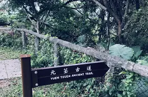 Tai Tong Lychee Garden