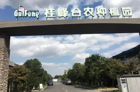 Guifeng Tainong Plantation