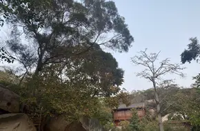 Zhongyan Temple