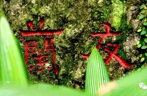 Orchid Garden