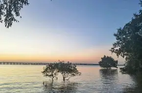 Xiwan Binhai Park