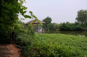 Qingpu Four Seasons Hundred Fruit Garden