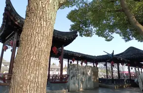 Ancient Stele
