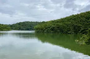 Riverback Camp