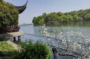 Lotus Pavilion Stele Gallery