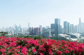 Lotus Mountain Park