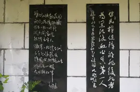 The Peach Blossom Land