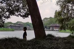 Lotus Pond Stele In Quyuan Garden
