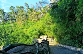 Wangniu Pavilion Park