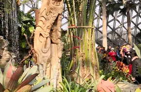 Shanghai Shenshan Botanical Garden - Succulent Plant Pavilion