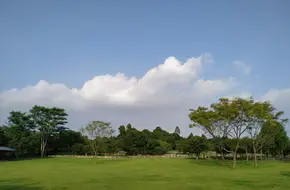 Julong Mountain Park