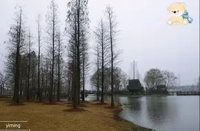 Qiusugen Garden