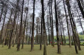 Baiyun Immortal Pavilion