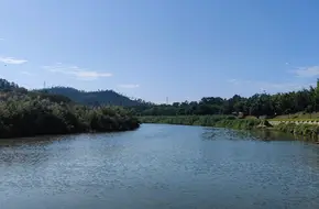 Longgang Wetland Park