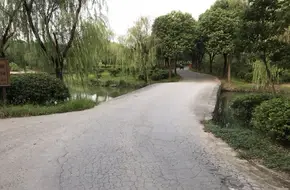 Pujiang Forest Park