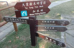 Tai Tong Maple Forest