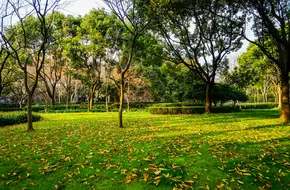 Xujiahui Park