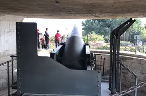 Hongyi Cannon Array