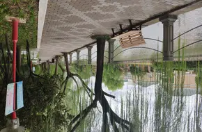 Qichang Park