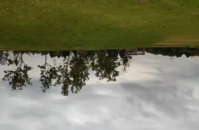 Mulan Garden