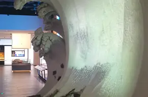 Fengxian Museum Seawall Hall